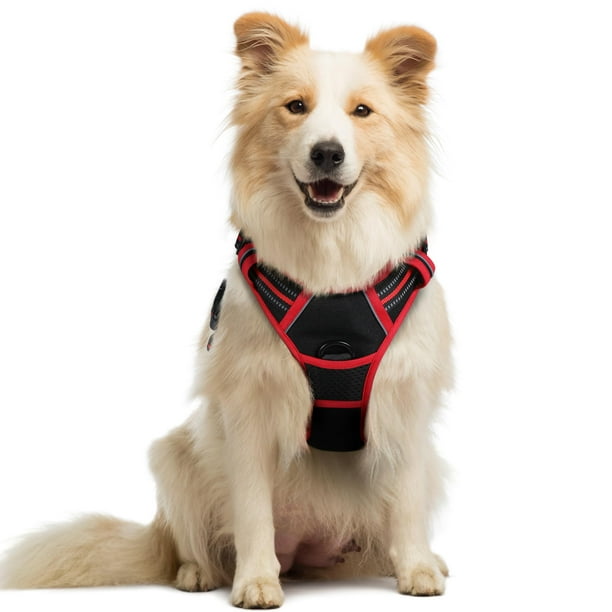 Arnés para perros Rabbitgoo, sin tirones, ajustable para perros medianos