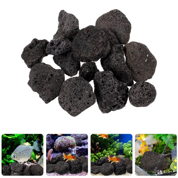 YUNLIGHTS Black Volcanic Stone Natural Decorative Rock for Potted Plants and Home 1Pack