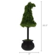 thumbnail image 5 of My Texas House Halloween Moss Witch Hat Topiary in Cauldron, Green and Black, 20", 5 of 5