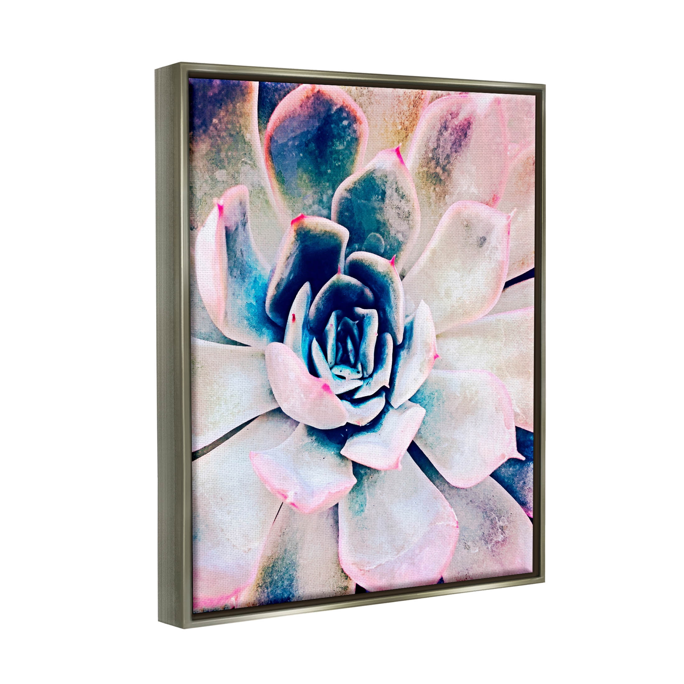 Modern Succulent Plant View Botanical & Floral Photograph Luster Gray Framed Art Print Wall Art