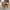Light Brown, variant on Upholstered Armchair Accent Chair, Pu Leather Mid Century Modern Chairs for Living Room, Comfy Retro Bedroom Side Chair with Solid Wood Legs, Light Brown