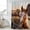 Brown, variant on Farm Horses Shower Curtain, Waterproof Shower Curtains for Bathroom, Farmhouse Barn Funny Animals Butterfly Washable Fabric Bathtub Curtain Set Bath Decor with 12 Hooks Standard 72"x72"