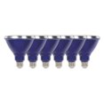thumbnail image 1 of Westinghouse Lighting 15 Watt PAR38 Outdoor LED Flood Reflector Blue Light Bulbs (6-Pack), 1 of 5