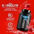 thumbnail image 3 of EFX Sports Karbolyn Fuel | Fast-Absorbing Carbohydrate Powder | Carb Load, Sustained Energy, Quick Recovery | Stimulant Free | 37 Servings (Cherry Bomb), 3 of 10