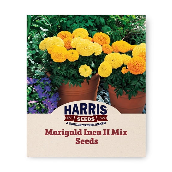 Harris Seeds Marigold Inca II Mix F1, Dwarf Double Bloom African Marigold, 50 Count