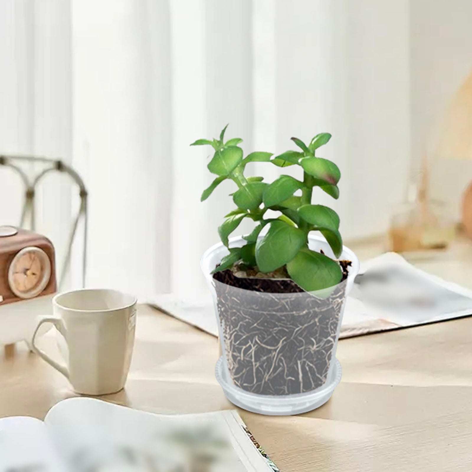 5 Pack 5 Inch Clear Nursery Pots, Transparent Pots with Drainage Holes, Starting Containers for Succulents Orchids Indoor Outdoor Gardening
