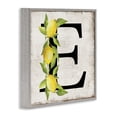 thumbnail image 3 of Stupell Industries Rustic Lodge E with Lemon Letter Gray Framed Giclee Art, 24 x 24, by Creatif Belle, 3 of 8