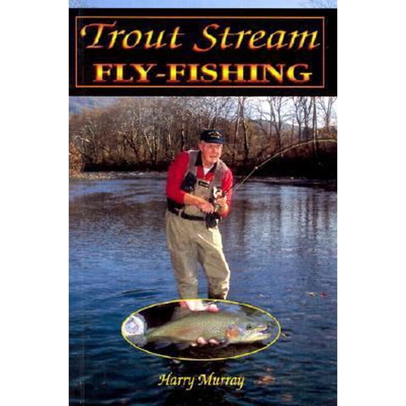 Pre-Owned Trout Stream Fly-Fishing (Paperback) 1571882812 9781571882813