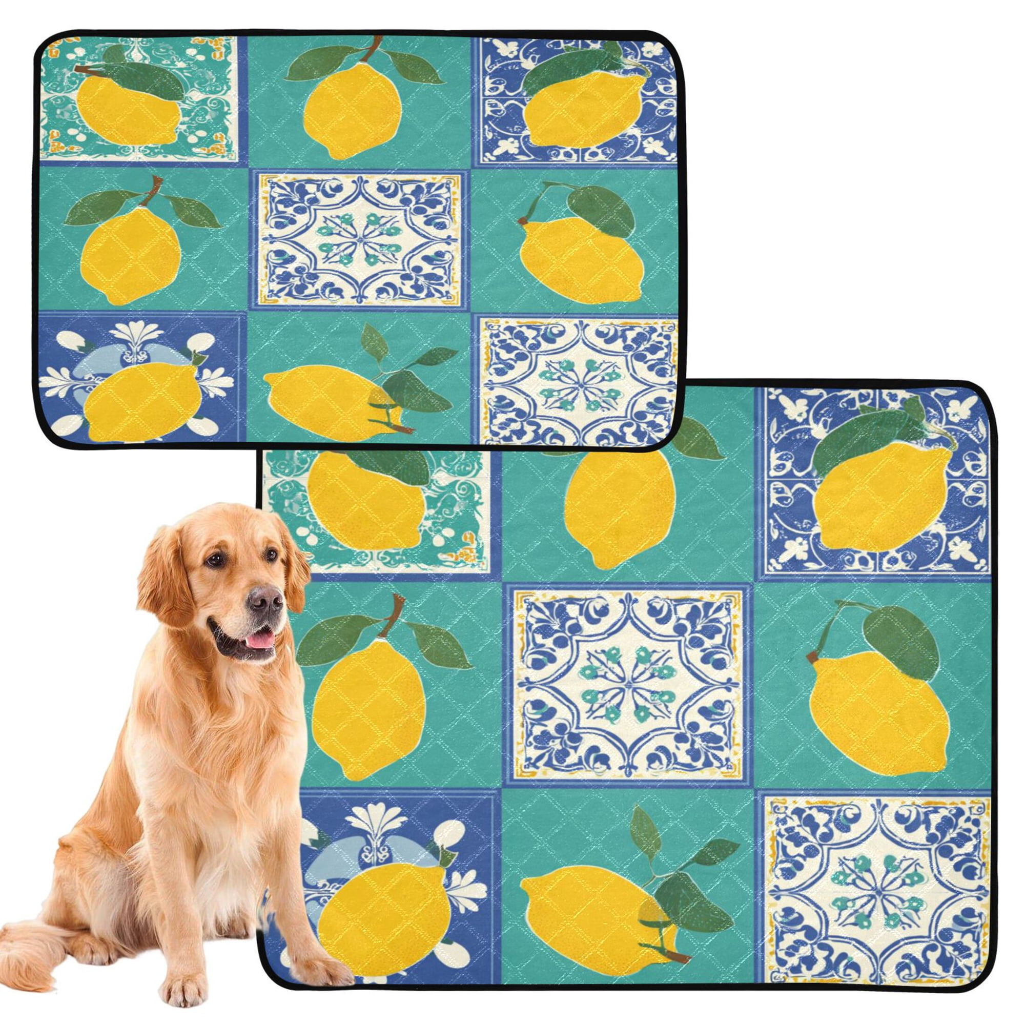 IAUYY Washable Pee Pads for Dogs Smallx3 Absorbent and Leak-Proof Non-Slip Reusable Puppy Pee Pads for Dogs Applicable to Playpen Potty Crate Various Postures Of Lemons