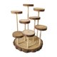 thumbnail image 3 of Expositor de madera con soporte de exhibición, vitrina, estante de exhibición multifunción de varios niveles 8 plataformas, 3 of 9