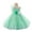 Mint Green, variant on Girls Princess Party Dress Little Girls Cosplay Costume Evening Gown