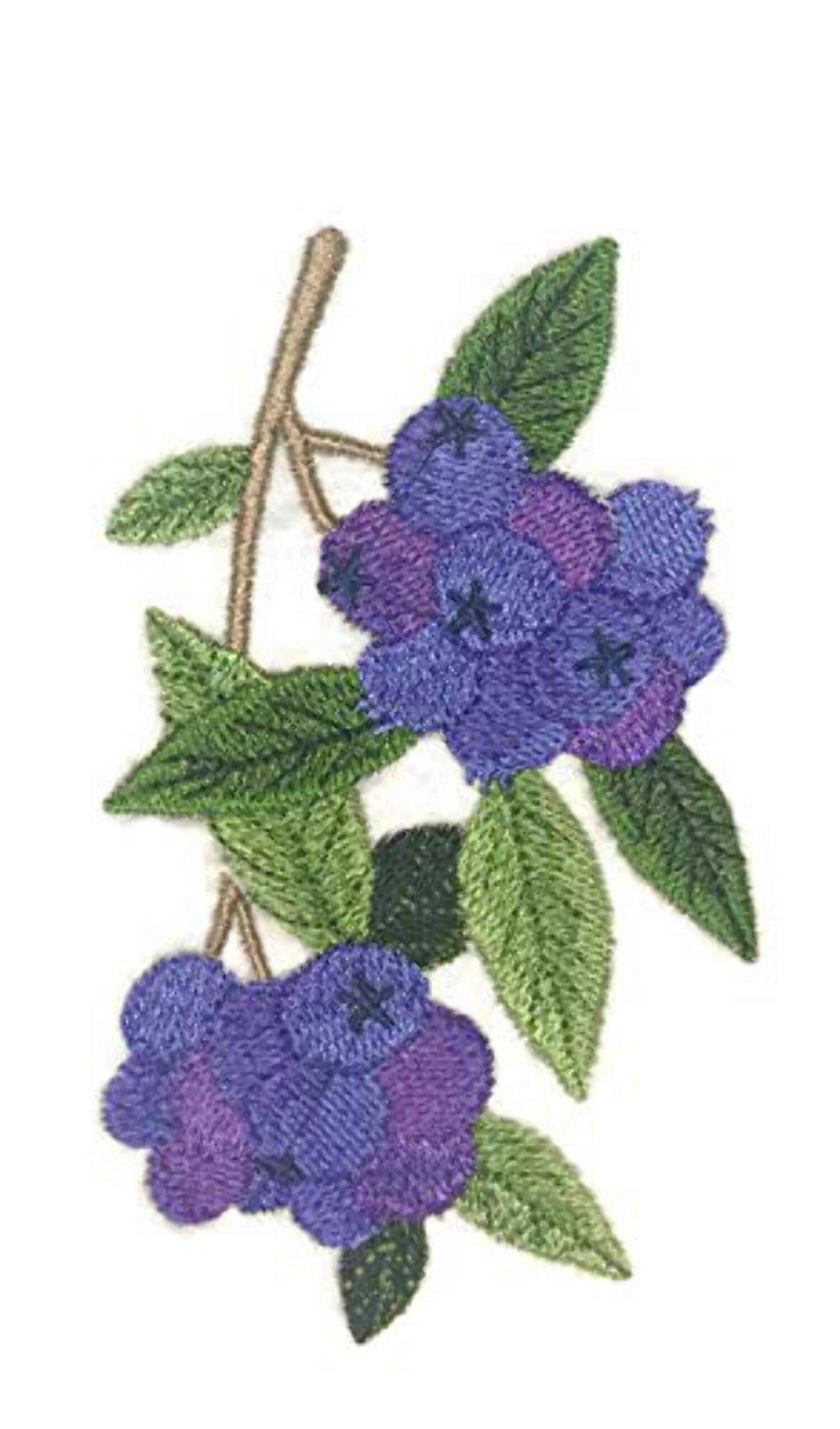 Nature Weaved in Threads, Fruits[Blueberry ] [] Embroidered Iron on/Sew Patch [5"x"3."] …