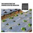 thumbnail image 3 of LOLIPPYY 2Ud Film Mulching Perforado Negro De Pe Para Cubrir Y Mantener Humedad En Jardín, 3 of 8