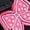 Hot Pink, variant on DuoJiaJ Children's Fashion Mesh Lace Up Sneakers Color Matching Casual Comfortable Running Shoes Athletic Shoes For Girls Size 11,Black