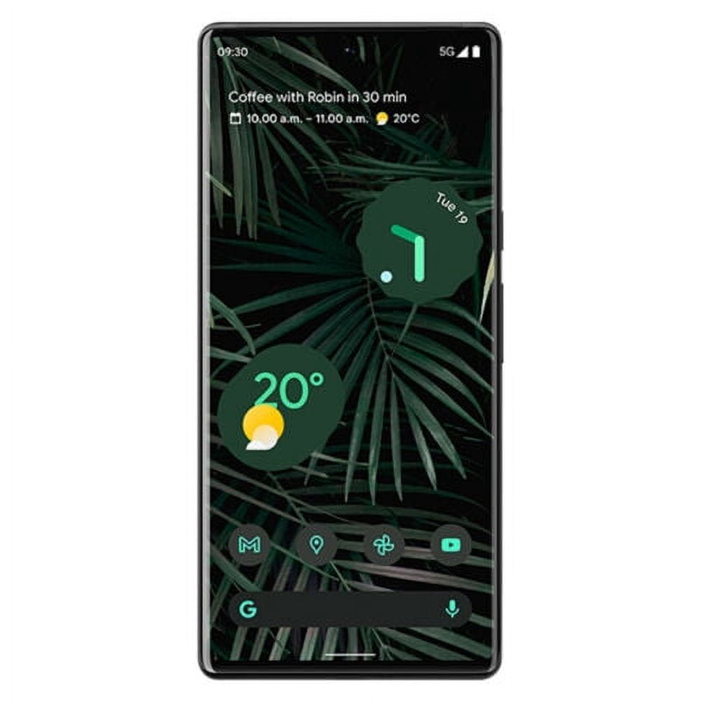 Restored Google Pixel 6 Pro G8V0U (Fully Unlocked) 128GB Stormy Black (Refurbished)