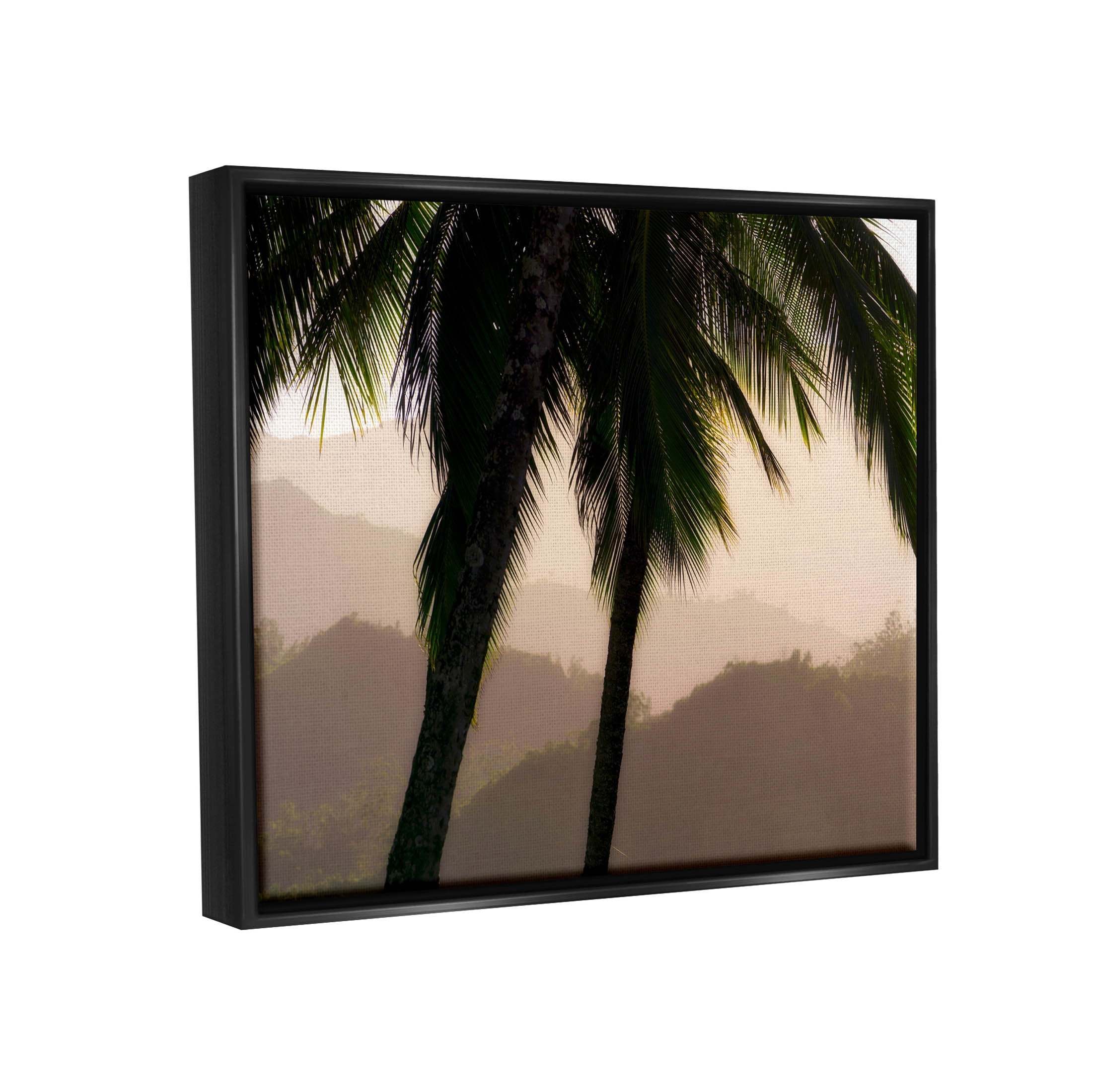 Stupell Industries Tropical Overhanging Palms Distant Land Photograph Jet Black Floating Framed Canvas Print Wall Art, Design by Dennis Frates