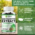 thumbnail image 3 of Saw Palmetto Extract - Support Hair Growth, Urinary Tract & Prostate Health and Overall Balance - 120 Capsules, 3 of 9