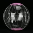 thumbnail image 4 of Hamsters Exercise Ball Toy, 18.5cm Transparent Pet Jogging Ball Hamster Wheel Running Machine For Pet Squirrel Guinea Pig Hamster, 4 of 8