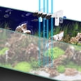 thumbnail image 3 of Soporte para tubo de Bomba dosificadora, Soporte para tubo blando para acuario, soporte para tubo de ensayo, soporte para tubo acrílico, transparencia colgante, soporte para tubo, 3 of 7
