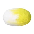 thumbnail image 2 of Cabbage Stick Squishy Toys,2026 New oft Slow Rebound Squishies,Like Real Cabbage Sticks, Vegetable Shape Fidget Toy,Suitable for Adults,Office Decompression-1 Pack, 2 of 5