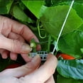 thumbnail image 3 of Ganchos para soporte de tomate, soporte para planta de tomate de invernadero con alambre, Clip para verduras, pepino, cereza, 10 Uds., 3 of 5