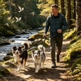 thumbnail image 4 of Cififendec Dual Dog Shock Absorbing Leash, 4.92ft, Reflective Bungee Two Way Splitter Walking Rope for Two Dogs Outdoor Hiking Training, 4 of 5