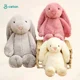 thumbnail image 2 of Size 40cm/50cm Long Ear Rabbit Plush Toy Cartoon Animal Cute Stuffed Doll Girl Friend Birthday Gift Christmas Present, 2 of 5
