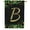 Letter B, variant on America Forever Christmas Monogram House Flag Letter H 28 x 40 inches Double Sided, Shiled , Pinecones Xmas Seasonal Outdoor Decor, Holiday Outside Yard Decorations