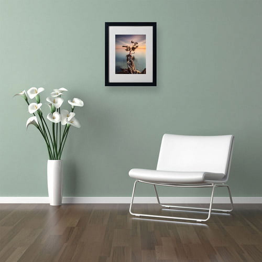 Matted art under acrylic in a black framed