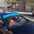 thumbnail image 6 of 3D Hocus Pocus Car Auto Sunshades Windshield Heat Protection, Hocus Merchandise Pocus Sun Shades Univeral Fit Cars Suv Truck . Halloween Horror Movie Cosplay Car Decor, 6 of 7