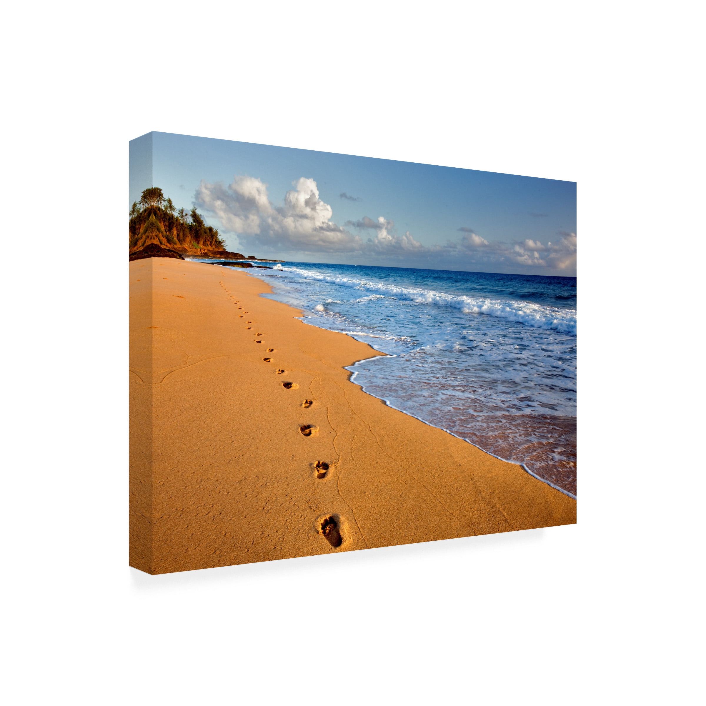 Dennis Frates 'Foot Prints In The Sand 1' Canvas Art