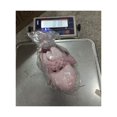 thumbnail image 4 of Xihbxyly Ofertas Compre Uno y Llévese Otro Gratis Juguete para Mascotas Resistente Al Aburrimiento Ya La Molienda, a Prueba de Fugas de Alimentos y Asfixia., 4 of 4