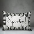 thumbnail image 3 of Creative Products Spooky 14x20 Spun Poly Pillow, 3 of 3