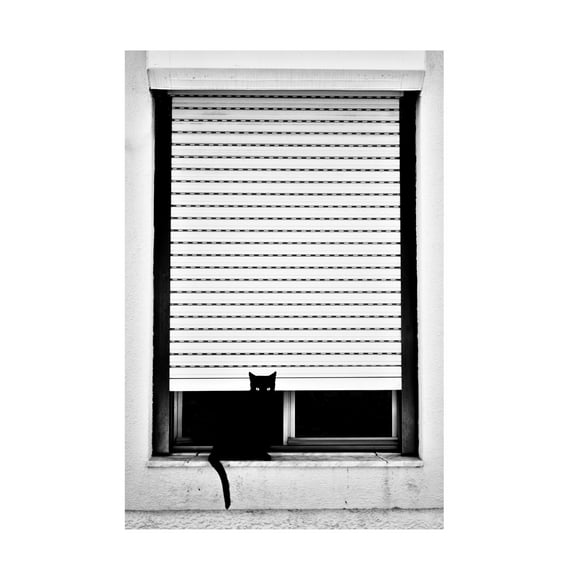 Florentinus Joseph 'Framed Black Cat' Canvas Art