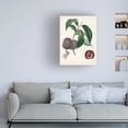 thumbnail image 3 of Pierre Antoine Poiteau 'Peche Cardinale' Canvas Art, 3 of 3