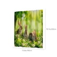 thumbnail image 3 of HongHeng Clearance Under $2.00 Digital Printing Light Green Easter Series Waterproof Shower Curtain Fabric Polyester, 3 of 7