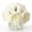 White, variant on Peonies Artificial with Glass Vase, Silk Faux Peony Fake Flower Arrangements with Vase and Faux Water, for Home Decor, Bathroom, and Table Centerpiece Decorations Home Centerpiece Floral