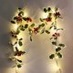 thumbnail image 1 of Navidad Led Cadena De Luces 2M 20Led Hoja De Navidad Fruta Roja Luces De Hadas Vacaciones De Navidad Luces De Navidad Decoraciones De Navidad Moyic HA038084-00, 1 of 6