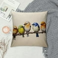 thumbnail image 2 of Fenyluxe  Watercolor Birds Pillows Decorative Throw Pillows,Hand-Painted Oil Painting Rustic Birds Square Pillow Cases,Cute Colorful Spring Summer Decor 22x22in, 2 of 5