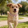 thumbnail image 4 of SHOWERORO Collar De Rosa Para Perro Con De Rhinestones Ajustable Y Para Mascotas, 4 of 8
