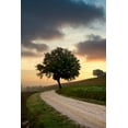thumbnail image 2 of Blaustein, Alan 11x14 Black Ornate Wood Framed with Double Matting Museum Art Print Titled - Tuscan Farm Road Sunrise #2, 2 of 4