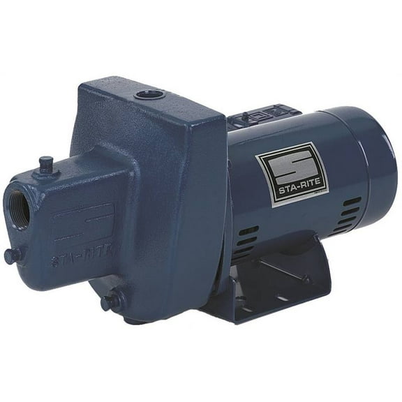 Shallow Well Jet Pump 3/4 Hp Sta-Rite Industries Well and Jet Pumps FSNDH