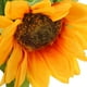 thumbnail image 2 of 5 piezas de tallos artificiales de girasol, 2 of 5