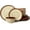 Brown Yellow, variant on Stoneware Dinnerware Sets, Ceramic Plates and Bowls Set, Microwave & Dishwasher Safe Kitchen Dishes, Modern Dinner Salad Plates | Cereal Bowls, Dishware Sets Service for 4 Sage Green
