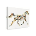 thumbnail image 2 of Trademark Fine Art 'Horse Collage' Canvas Art by Louise Tate, 2 of 3