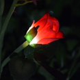 thumbnail image 3 of [Upgraded 6 Flowers] Solar Powered Decorative Rose Garden Stake Lights Waterproof Realistic Artificial Flowers for Outdoor Flower Bed Patio Yard Pathway Memorial Cemetery Grave Decorations 2pack Red, 3 of 15