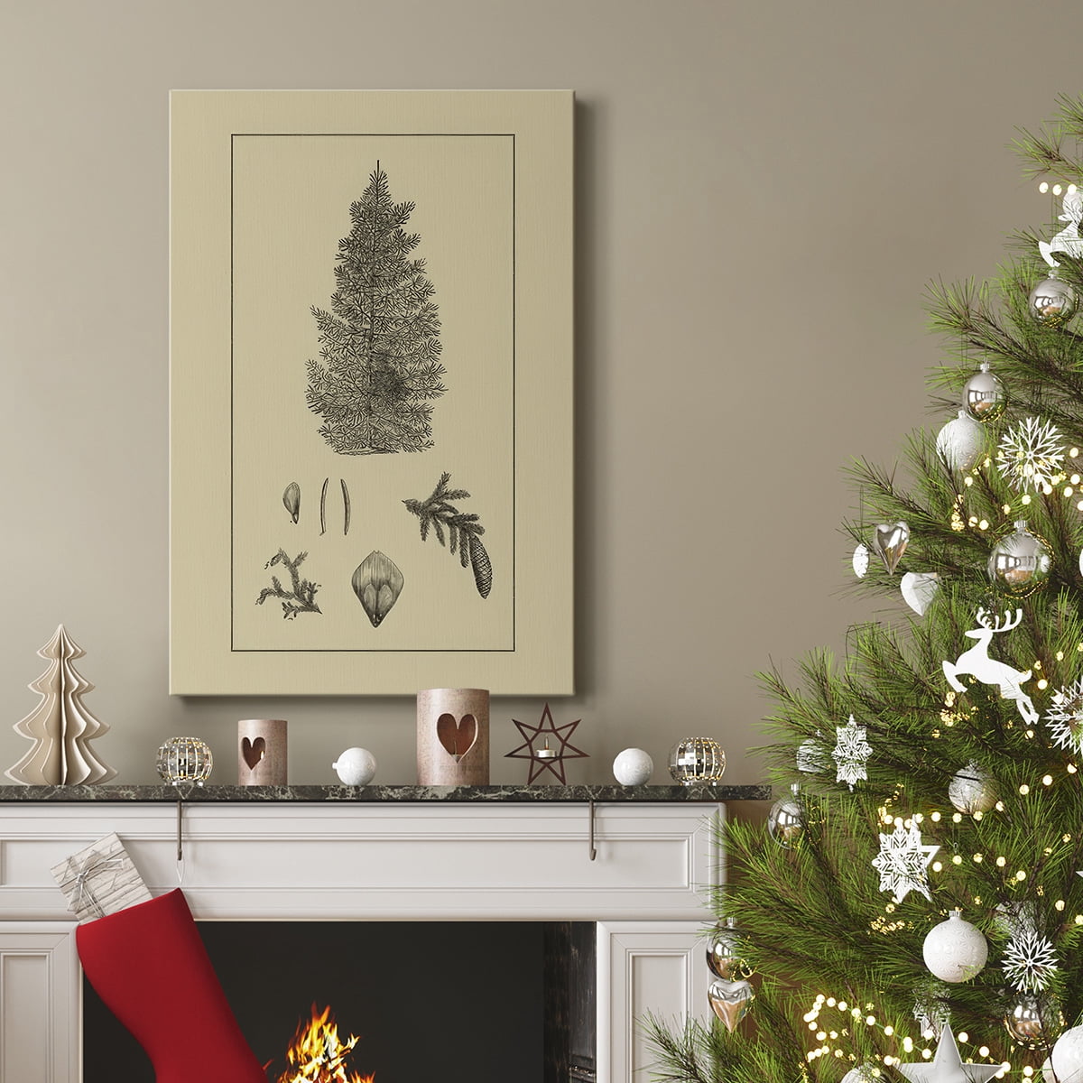 Arbor Study I- Gallery Wrapped Canvas
