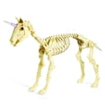 thumbnail image 4 of Fun Express White Unicorn Skeleton Outdoor Decor, Halloween Macabre Design, 4 of 4
