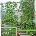 thumbnail image 5 of Plant Climbing Net for Vegetables & Flowers | Support for Cucumbers, Tomatoes, Peas | Space-Saving Garden Trellis | 0.9m x 1.8m to 1.8m x 3.6m Sizes | Reusable & Easy Installation, 5 of 8