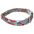 thumbnail image 6 of Country Brook Petz® Premium Sky Mandala Dog Collar and Leash, Extra Large, 6 of 7